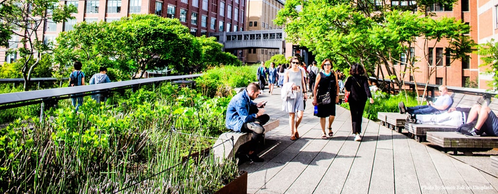 The Hight Line: il parco sopraelevato di New York